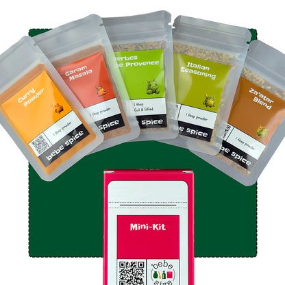 Global Recipe and Camping Mini-Kits, Bundle