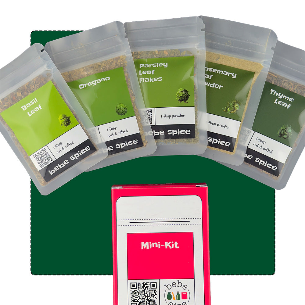 Global Recipe and Camping Mini-Kits, Bundle